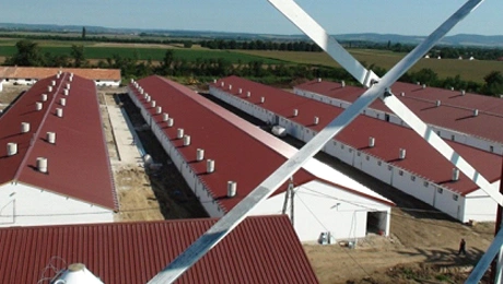 állattartó telepek fejlesztése ikon